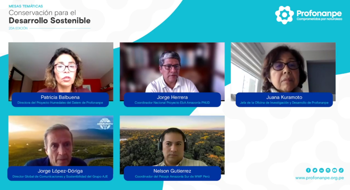 Participantes de la tercera sesión "Manejo ambiental y poblaciones indígenas u originarias".